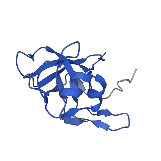 12303_7nfx_V_v1-0
Mammalian ribosome nascent chain complex with SRP and SRP receptor in early state A