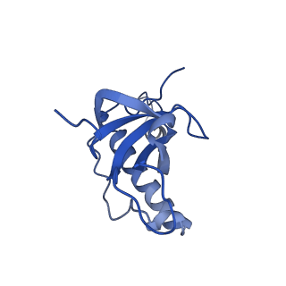 12303_7nfx_Z_v1-0
Mammalian ribosome nascent chain complex with SRP and SRP receptor in early state A
