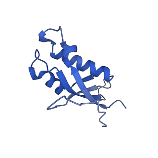 12303_7nfx_d_v1-0
Mammalian ribosome nascent chain complex with SRP and SRP receptor in early state A