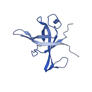 12303_7nfx_f_v1-0
Mammalian ribosome nascent chain complex with SRP and SRP receptor in early state A