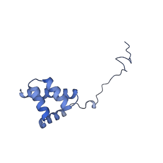 12303_7nfx_i_v1-0
Mammalian ribosome nascent chain complex with SRP and SRP receptor in early state A