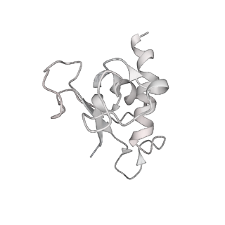 12303_7nfx_q_v1-0
Mammalian ribosome nascent chain complex with SRP and SRP receptor in early state A