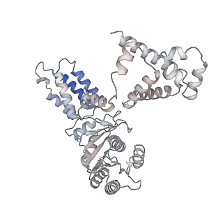12303_7nfx_x_v1-0
Mammalian ribosome nascent chain complex with SRP and SRP receptor in early state A
