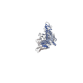 12306_7nfy_B_v2-0
P1a-state of wild type human mitochondrial LONP1 protease with bound substrate protein and ATPgS