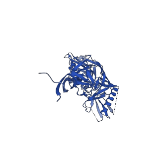 7884_6nf5_A_v1-2
BG505 MD64 N332-GT5 SOSIP trimer in complex with BG18-like precursor HMP1 fragmentantigen binding and base-binding RM20A3 fragment antigen binding