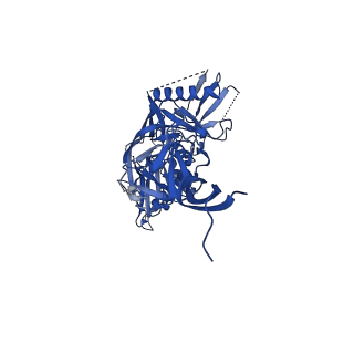 7884_6nf5_C_v1-2
BG505 MD64 N332-GT5 SOSIP trimer in complex with BG18-like precursor HMP1 fragmentantigen binding and base-binding RM20A3 fragment antigen binding