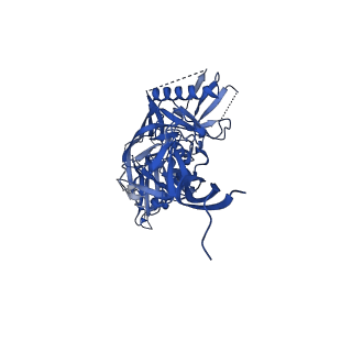 7884_6nf5_C_v2-0
BG505 MD64 N332-GT5 SOSIP trimer in complex with BG18-like precursor HMP1 fragmentantigen binding and base-binding RM20A3 fragment antigen binding