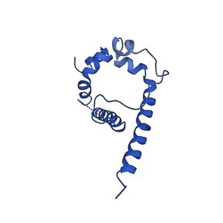 7884_6nf5_D_v1-2
BG505 MD64 N332-GT5 SOSIP trimer in complex with BG18-like precursor HMP1 fragmentantigen binding and base-binding RM20A3 fragment antigen binding
