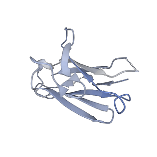 7884_6nf5_F_v1-2
BG505 MD64 N332-GT5 SOSIP trimer in complex with BG18-like precursor HMP1 fragmentantigen binding and base-binding RM20A3 fragment antigen binding