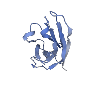 7884_6nf5_G_v1-2
BG505 MD64 N332-GT5 SOSIP trimer in complex with BG18-like precursor HMP1 fragmentantigen binding and base-binding RM20A3 fragment antigen binding
