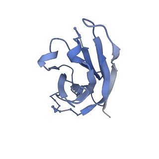 7884_6nf5_G_v2-0
BG505 MD64 N332-GT5 SOSIP trimer in complex with BG18-like precursor HMP1 fragmentantigen binding and base-binding RM20A3 fragment antigen binding