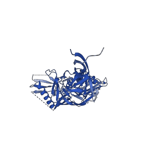 7884_6nf5_J_v1-2
BG505 MD64 N332-GT5 SOSIP trimer in complex with BG18-like precursor HMP1 fragmentantigen binding and base-binding RM20A3 fragment antigen binding