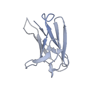 7884_6nf5_P_v1-2
BG505 MD64 N332-GT5 SOSIP trimer in complex with BG18-like precursor HMP1 fragmentantigen binding and base-binding RM20A3 fragment antigen binding