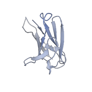 7884_6nf5_P_v2-0
BG505 MD64 N332-GT5 SOSIP trimer in complex with BG18-like precursor HMP1 fragmentantigen binding and base-binding RM20A3 fragment antigen binding