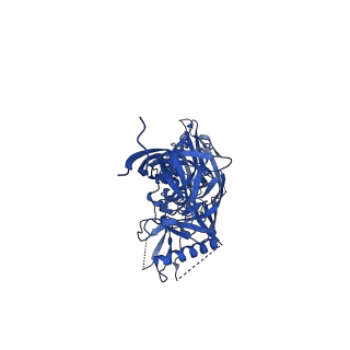 7885_6nfc_A_v1-2
BG505 MD64 N332-GT5 SOSIP trimer in complex with BG18-like precursor HMP42 fragmentantigen binding and base-binding RM20A3 fragment antigen binding