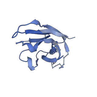 7885_6nfc_C_v1-2
BG505 MD64 N332-GT5 SOSIP trimer in complex with BG18-like precursor HMP42 fragmentantigen binding and base-binding RM20A3 fragment antigen binding