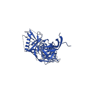 7885_6nfc_F_v1-2
BG505 MD64 N332-GT5 SOSIP trimer in complex with BG18-like precursor HMP42 fragmentantigen binding and base-binding RM20A3 fragment antigen binding