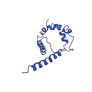 7885_6nfc_G_v1-2
BG505 MD64 N332-GT5 SOSIP trimer in complex with BG18-like precursor HMP42 fragmentantigen binding and base-binding RM20A3 fragment antigen binding