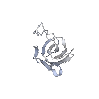 7885_6nfc_H_v1-2
BG505 MD64 N332-GT5 SOSIP trimer in complex with BG18-like precursor HMP42 fragmentantigen binding and base-binding RM20A3 fragment antigen binding