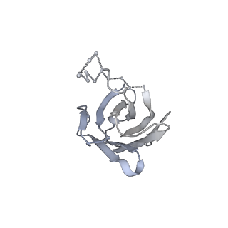 7885_6nfc_H_v2-0
BG505 MD64 N332-GT5 SOSIP trimer in complex with BG18-like precursor HMP42 fragmentantigen binding and base-binding RM20A3 fragment antigen binding