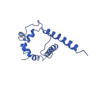 7885_6nfc_I_v1-2
BG505 MD64 N332-GT5 SOSIP trimer in complex with BG18-like precursor HMP42 fragmentantigen binding and base-binding RM20A3 fragment antigen binding