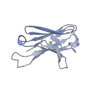 7885_6nfc_L_v1-2
BG505 MD64 N332-GT5 SOSIP trimer in complex with BG18-like precursor HMP42 fragmentantigen binding and base-binding RM20A3 fragment antigen binding