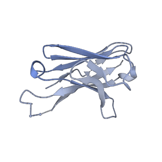 7885_6nfc_L_v2-0
BG505 MD64 N332-GT5 SOSIP trimer in complex with BG18-like precursor HMP42 fragmentantigen binding and base-binding RM20A3 fragment antigen binding