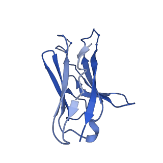 7885_6nfc_M_v1-2
BG505 MD64 N332-GT5 SOSIP trimer in complex with BG18-like precursor HMP42 fragmentantigen binding and base-binding RM20A3 fragment antigen binding