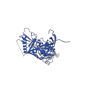 9359_6nf2_A_v1-2
Cryo-EM structure of vaccine-elicited antibody 0PV-c.01 in complex with HIV-1 Env BG505 DS-SOSIP and antibodies VRC03 and PGT122