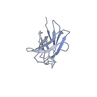 9359_6nf2_E_v2-0
Cryo-EM structure of vaccine-elicited antibody 0PV-c.01 in complex with HIV-1 Env BG505 DS-SOSIP and antibodies VRC03 and PGT122