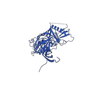 9359_6nf2_G_v1-2
Cryo-EM structure of vaccine-elicited antibody 0PV-c.01 in complex with HIV-1 Env BG505 DS-SOSIP and antibodies VRC03 and PGT122