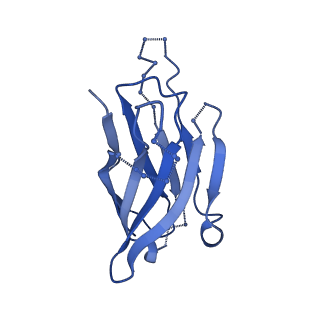 9359_6nf2_V_v1-2
Cryo-EM structure of vaccine-elicited antibody 0PV-c.01 in complex with HIV-1 Env BG505 DS-SOSIP and antibodies VRC03 and PGT122