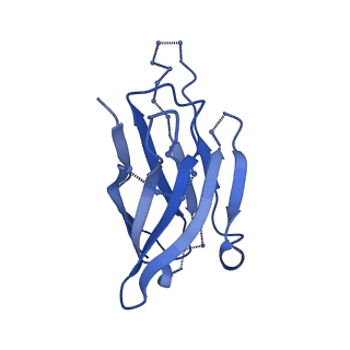 9359_6nf2_V_v2-0
Cryo-EM structure of vaccine-elicited antibody 0PV-c.01 in complex with HIV-1 Env BG505 DS-SOSIP and antibodies VRC03 and PGT122