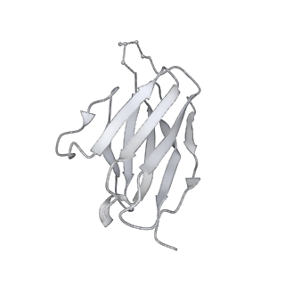 9359_6nf2_X_v1-2
Cryo-EM structure of vaccine-elicited antibody 0PV-c.01 in complex with HIV-1 Env BG505 DS-SOSIP and antibodies VRC03 and PGT122