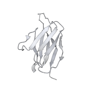 9359_6nf2_X_v2-0
Cryo-EM structure of vaccine-elicited antibody 0PV-c.01 in complex with HIV-1 Env BG505 DS-SOSIP and antibodies VRC03 and PGT122