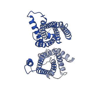 9360_6nf4_A_v1-3
Structure of zebrafish Otop1 in nanodiscs