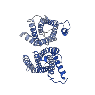 9360_6nf4_B_v1-2
Structure of zebrafish Otop1 in nanodiscs