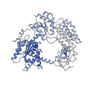 12092_7nga_A_v1-1
CryoEM structure of the MDA5-dsRNA filament in complex with ADP with 88-degree helical twist