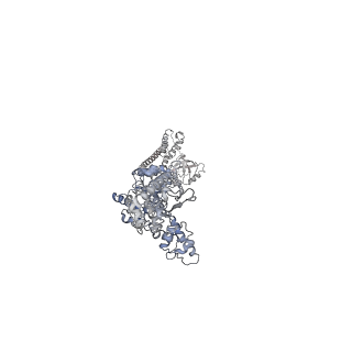 12307_7ng4_B_v2-0
P1b-state of wild type human mitochondrial LONP1 protease with bound endogenous substrate protein and in presence of ATP/ADP mix