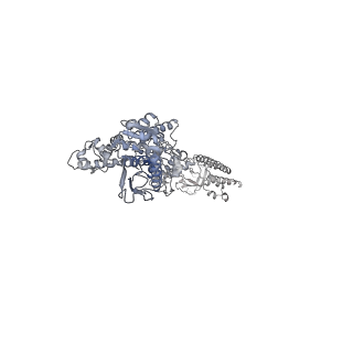 12307_7ng4_F_v1-1
P1b-state of wild type human mitochondrial LONP1 protease with bound endogenous substrate protein and in presence of ATP/ADP mix