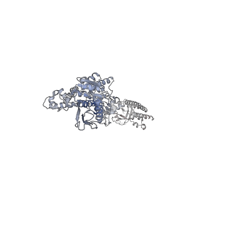 12307_7ng4_F_v2-0
P1b-state of wild type human mitochondrial LONP1 protease with bound endogenous substrate protein and in presence of ATP/ADP mix