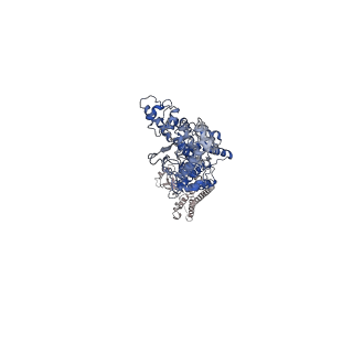 12308_7ng5_B_v2-0
P1c-state of wild type human mitochondrial LONP1 protease with bound substrate protein in presence of ATP/ADP mix