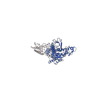 12308_7ng5_F_v1-1
P1c-state of wild type human mitochondrial LONP1 protease with bound substrate protein in presence of ATP/ADP mix
