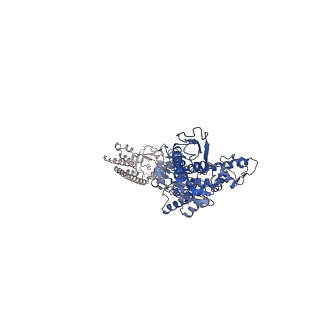 12308_7ng5_F_v2-0
P1c-state of wild type human mitochondrial LONP1 protease with bound substrate protein in presence of ATP/ADP mix