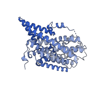 12314_7ngh_C_v1-0
Structure of glutamate transporter homologue in complex with Sybody