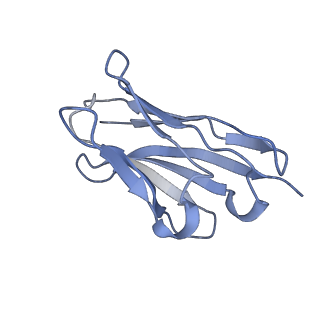 12314_7ngh_D_v1-0
Structure of glutamate transporter homologue in complex with Sybody