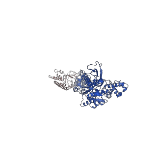 12315_7ngl_B_v1-0
R-state of wild type human mitochondrial LONP1 protease bound to endogenous ADP