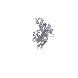 12315_7ngl_D_v1-0
R-state of wild type human mitochondrial LONP1 protease bound to endogenous ADP