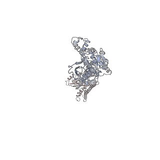 12315_7ngl_D_v2-1
R-state of wild type human mitochondrial LONP1 protease bound to endogenous ADP