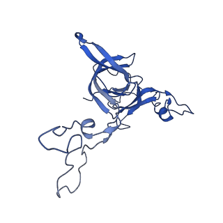 3640_5ngm_AD_v1-3
2.9S structure of the 70S ribosome composing the S. aureus 100S complex